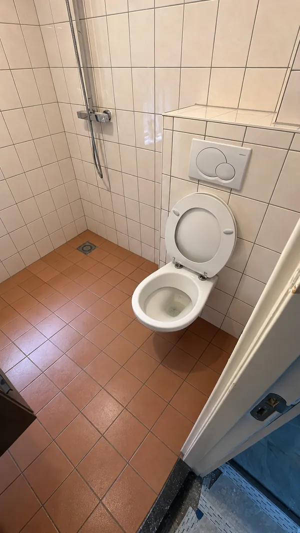 Na de schoonmaak: schone badkamer en toilet